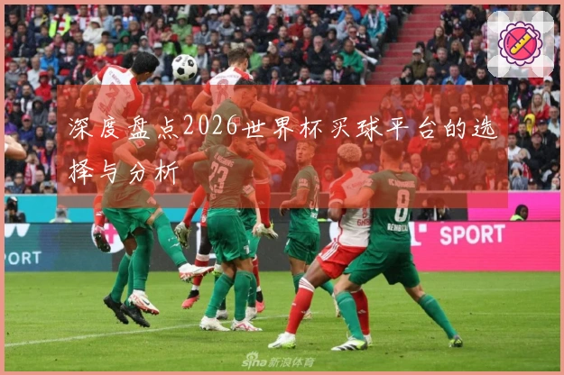 深度盘点2026世界杯买球平台的选择与分析