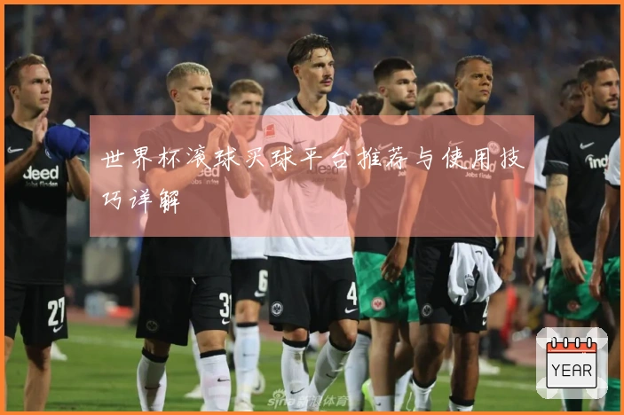 世界杯滚球买球平台推荐与使用技巧详解