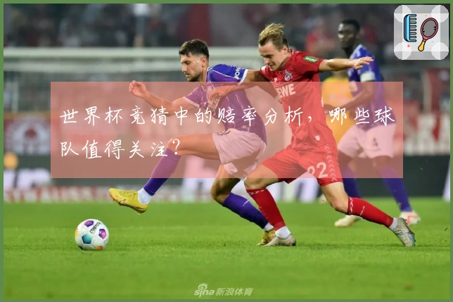 世界杯竞猜中的赔率分析，哪些球队值得关注？