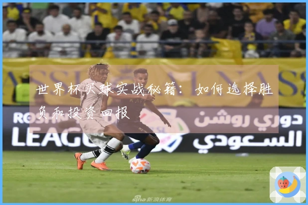 世界杯买球实战秘籍：如何选择胜负和投资回报