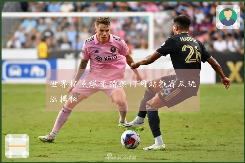 世界杯滚球竞猜热门网站推荐及玩法揭秘