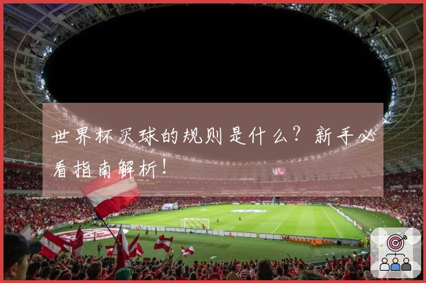 世界杯买球的规则是什么？新手必看指南解析！