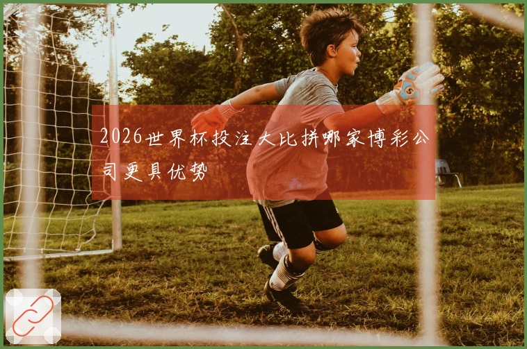 2026世界杯投注大比拼哪家博彩公司更具优势