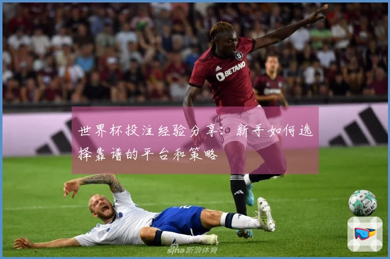 世界杯投注经验分享：新手如何选择靠谱的平台和策略
